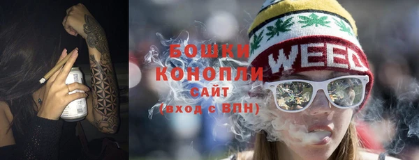 дмт Богородицк